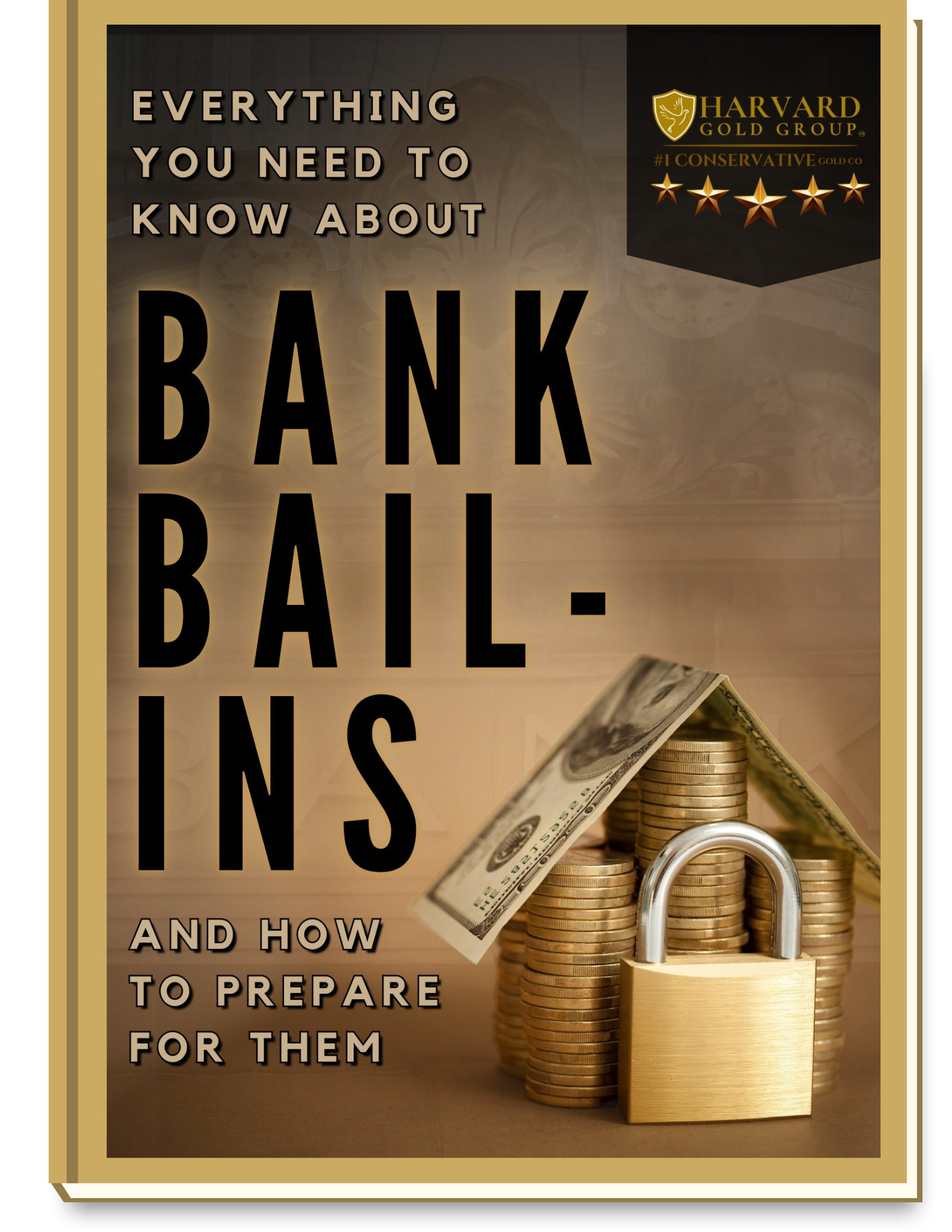 bank bail-in book2