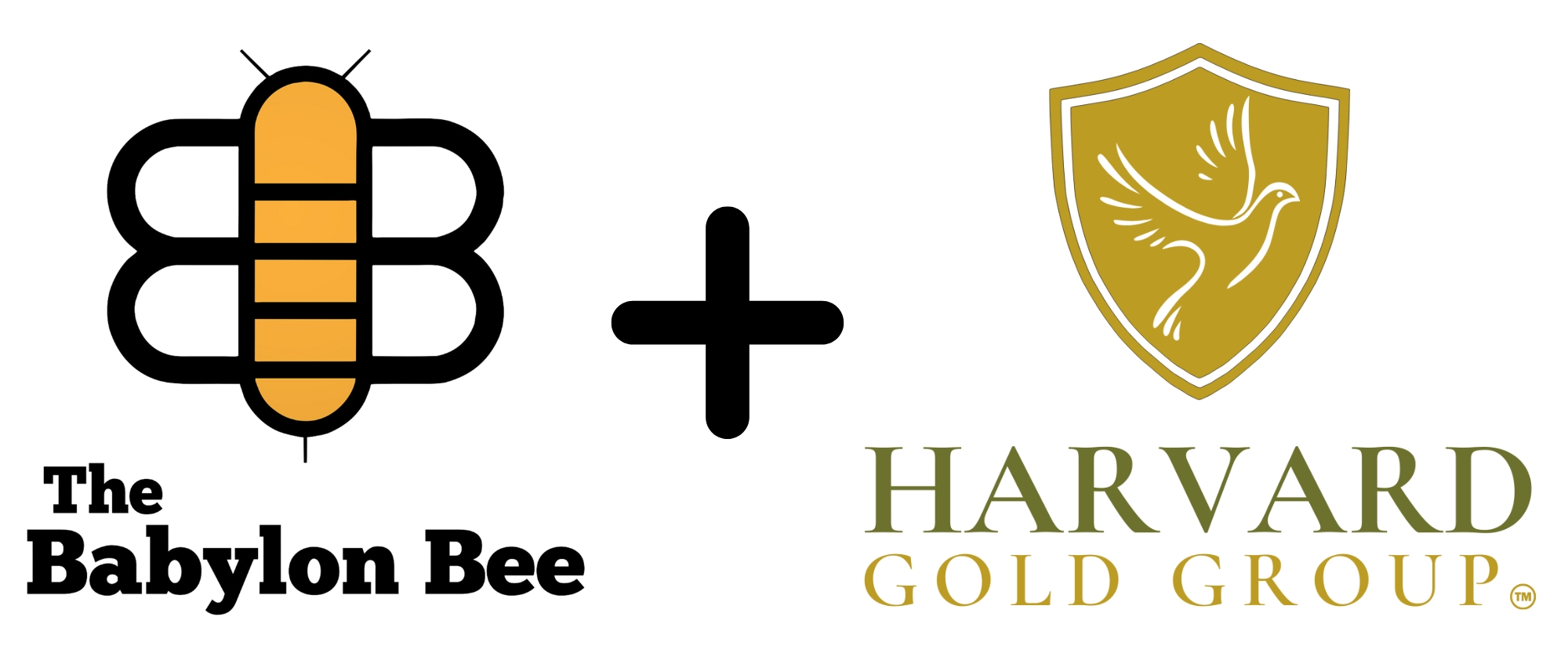 Bee with Harvard